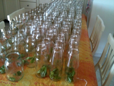 Bottles with Basil